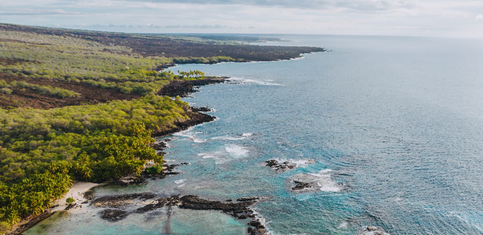 Āko'ako'a珊瑚礁恢复计划